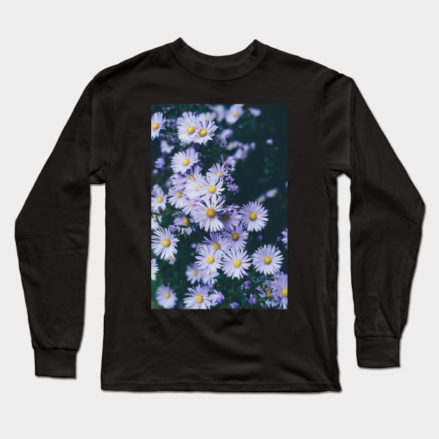 White Daisy Flowers - Daisy Garden Long Sleeve T-Shirt by JDVNart